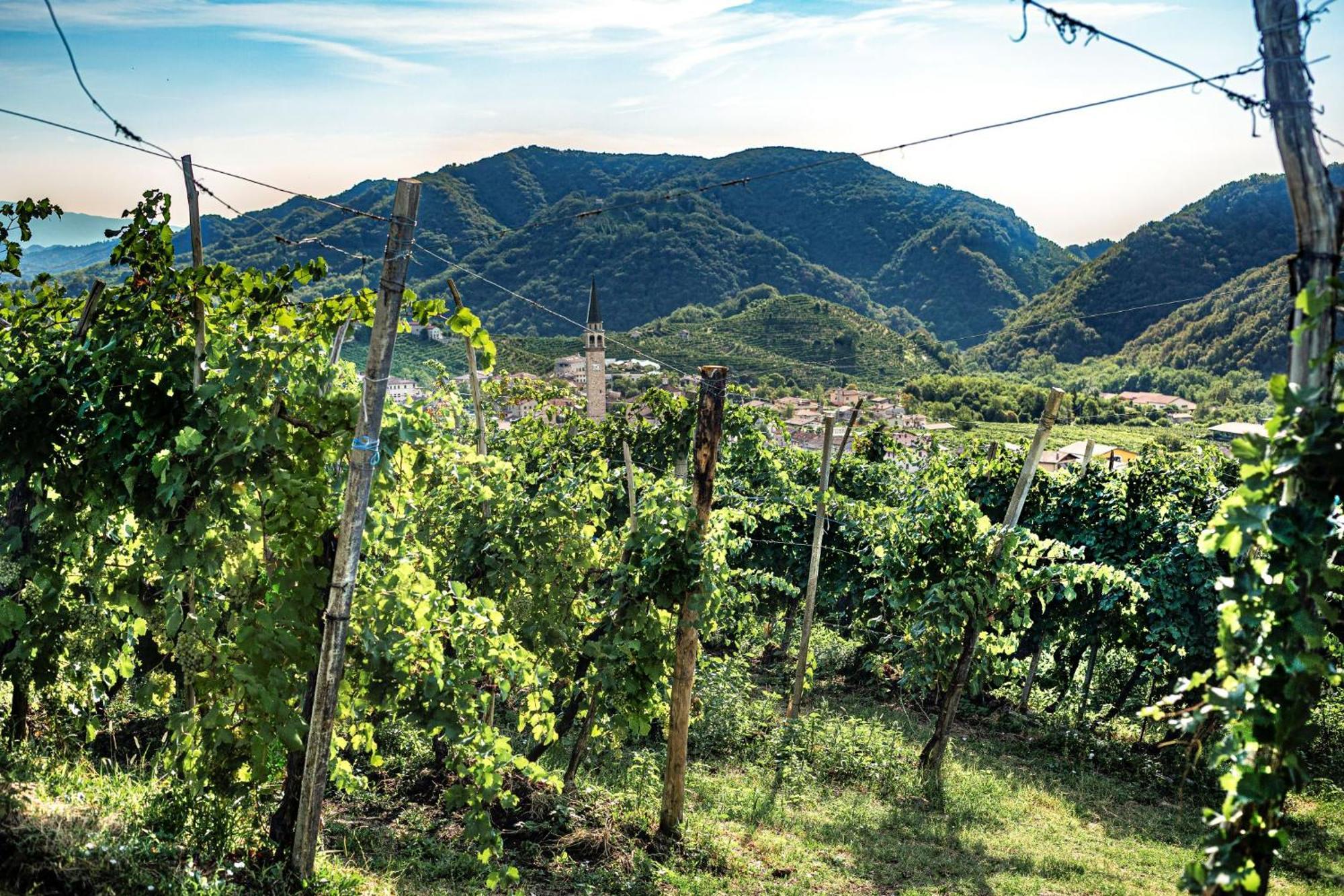 Ca'Lisel Villa Valdobbiadene Exteriör bild